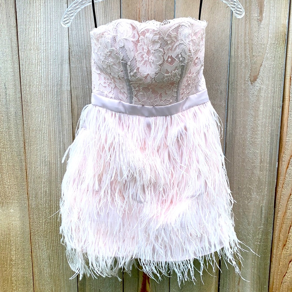 bebe Strapless Lace and Feather Dress in Pink and White